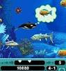 Images017